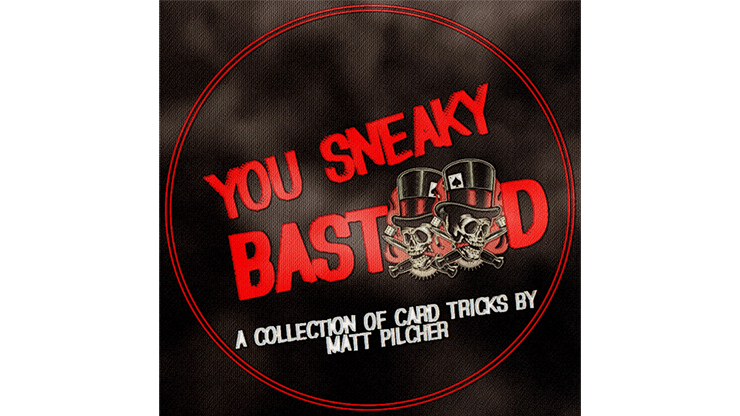 YOU SNEAKY BAST**D By Matt Pilcher eBook DOWNLOAD